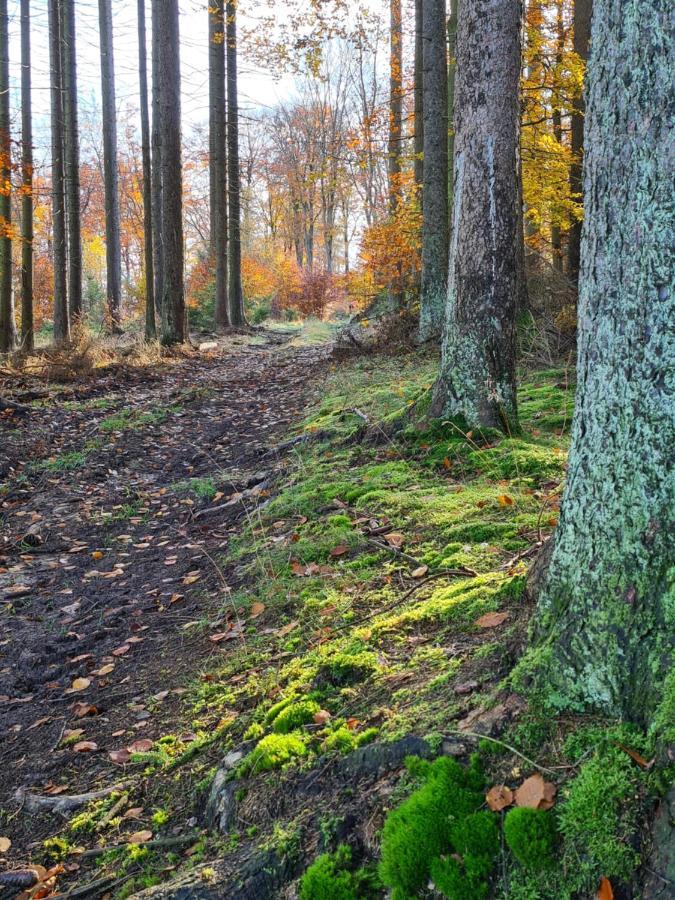Pension Larifari Drees Екстер'єр фото